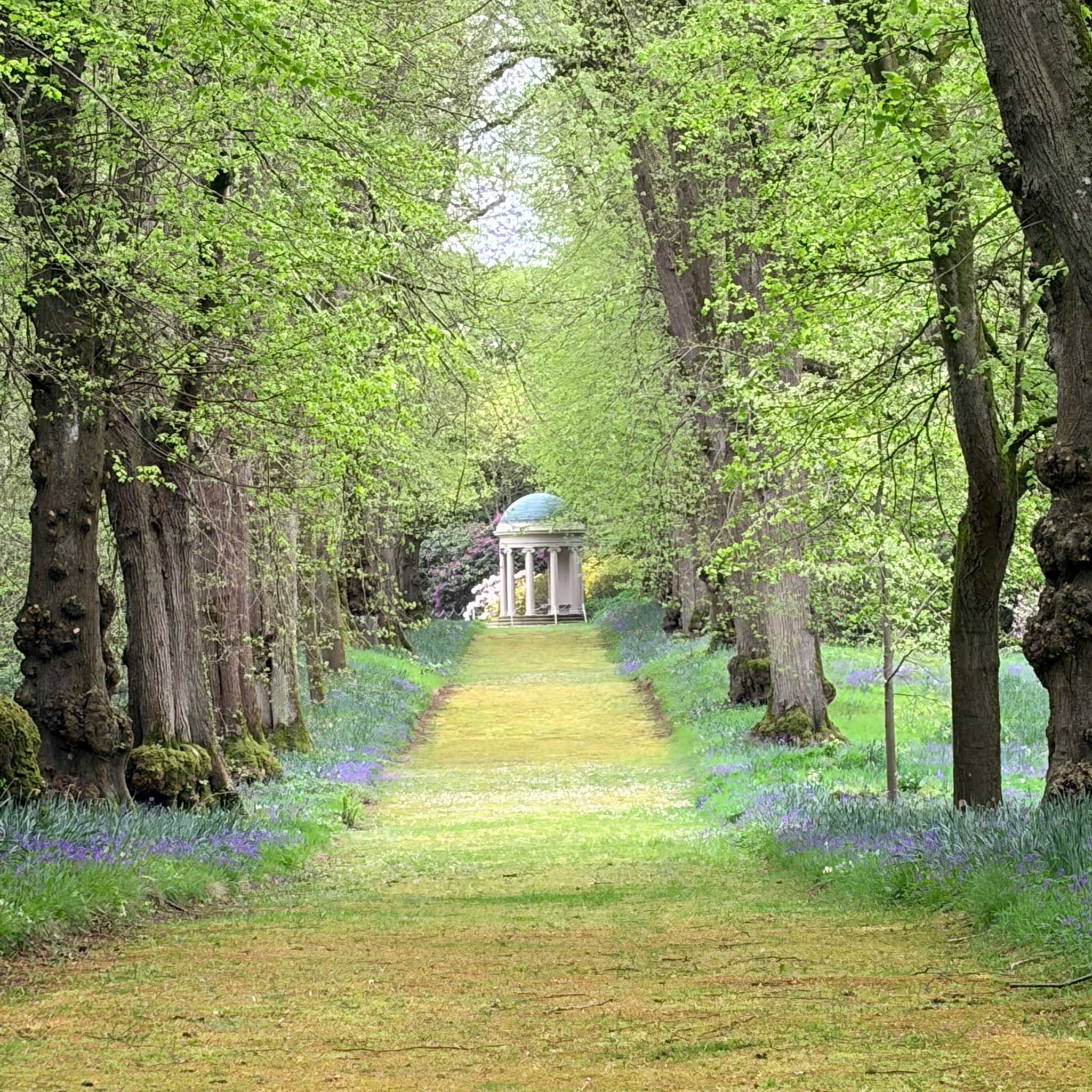 Moss Walk